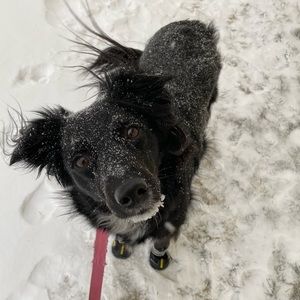 Meet your Posher, Eric